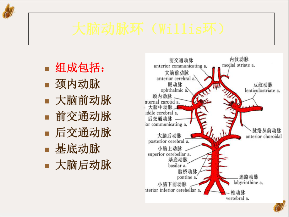 神经内科脑血管解剖及脑梗塞定位诊断PPT课件.pptx_第3页