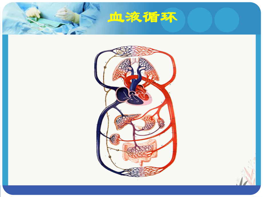 社区高血压健康教育课件.pptx_第2页