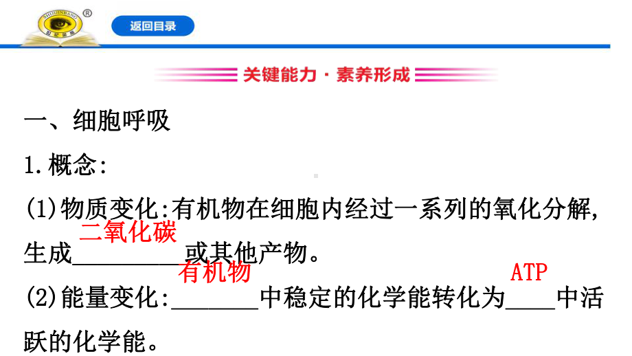 细胞呼吸的原理和应用-细胞的能量供应和利用课件.pptx_第3页