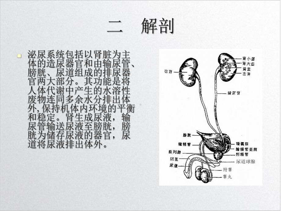 经皮肾镜碎石术的健康教育培训课程课件.ppt_第3页