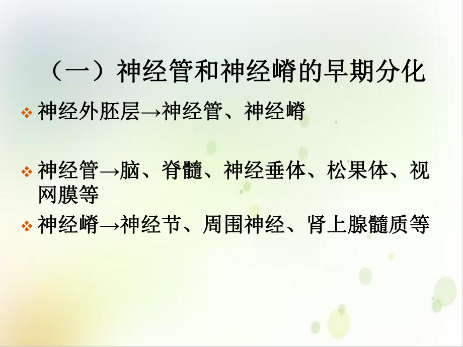 神经系统和眼耳的发生示范课件.ppt_第3页