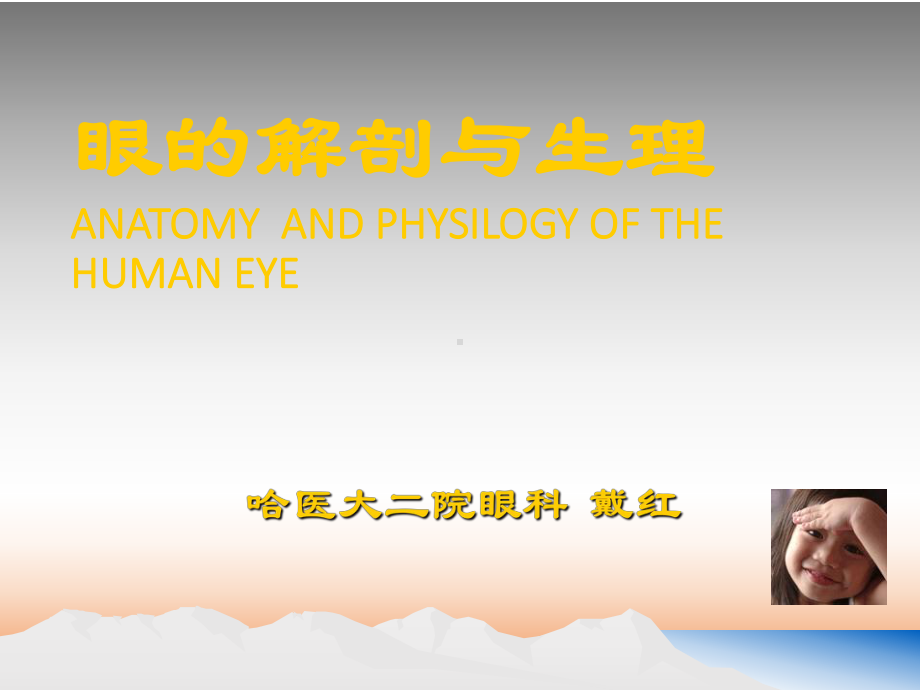 眼科学-眼的解剖与生理课件.ppt_第1页