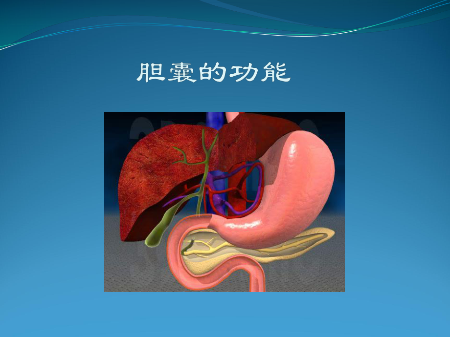 胆囊疾病与单孔腹腔镜手术课件.ppt_第1页