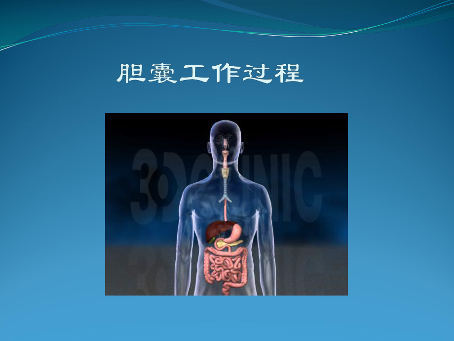 胆囊疾病与单孔腹腔镜手术课件.ppt_第2页