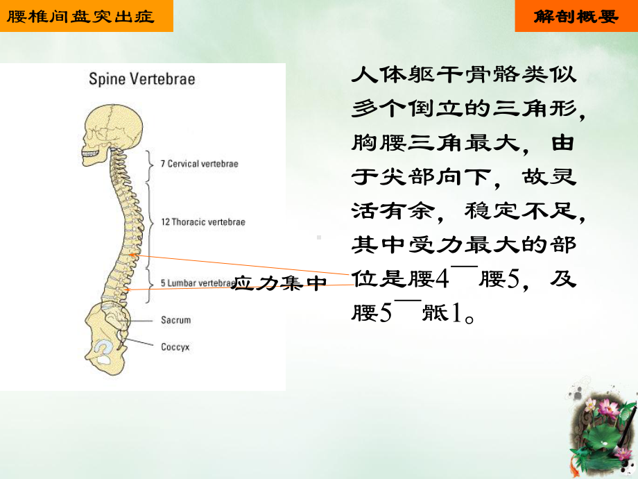 腰椎间盘突出的护理精制课件.ppt_第3页