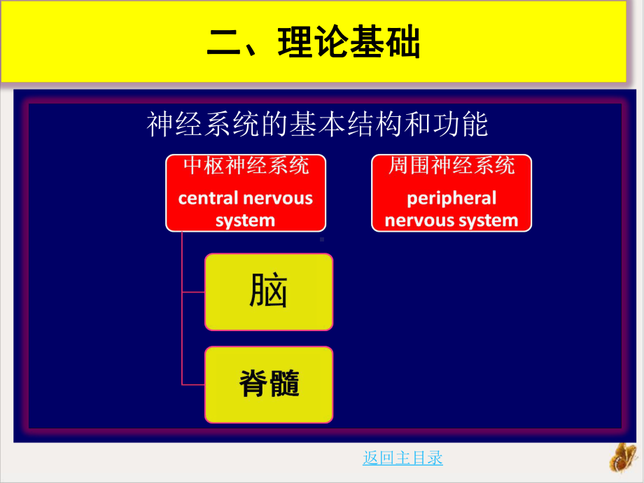 神经康复学概述课件.pptx_第3页