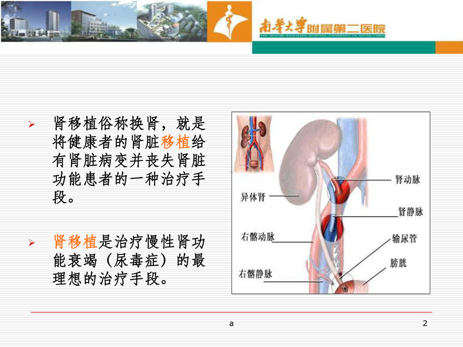 肾移植的饮食指导课件.ppt_第2页