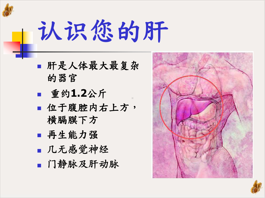 病毒性肝炎的治疗与护理培训课件.pptx_第2页