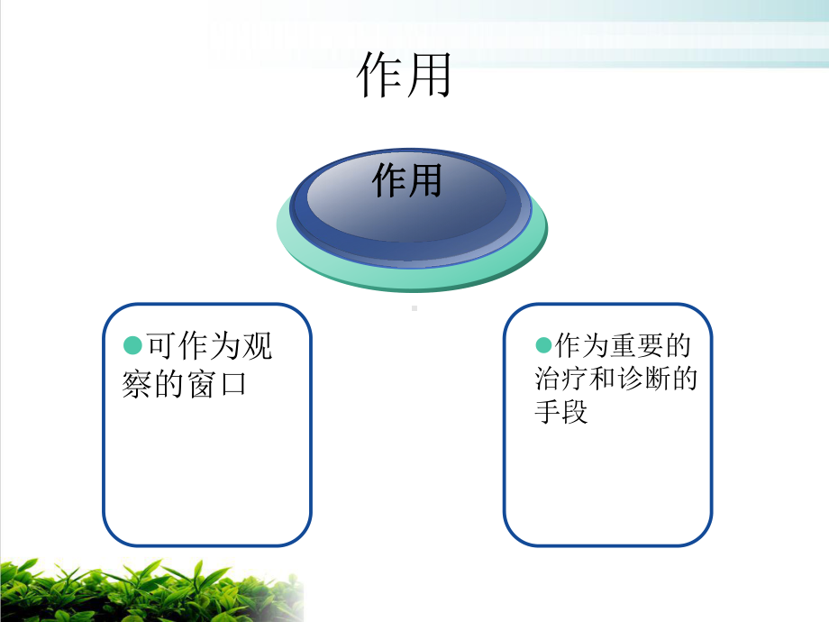 精美管道护理[1]课件.ppt_第3页