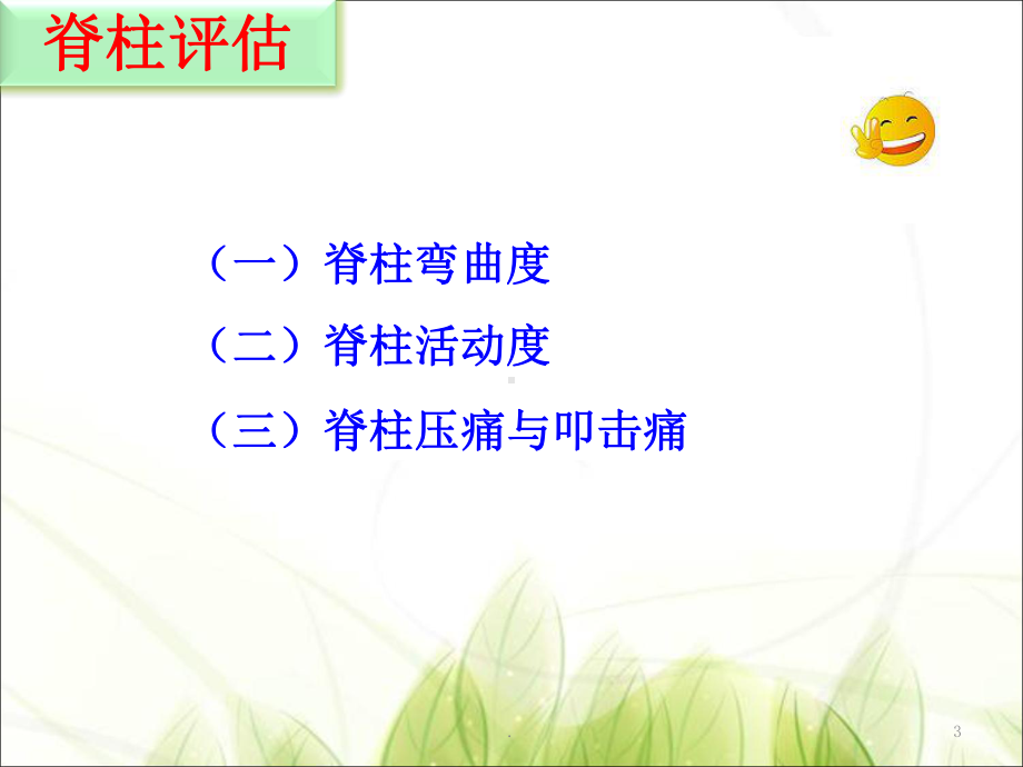 脊柱四肢评估课件.ppt_第3页