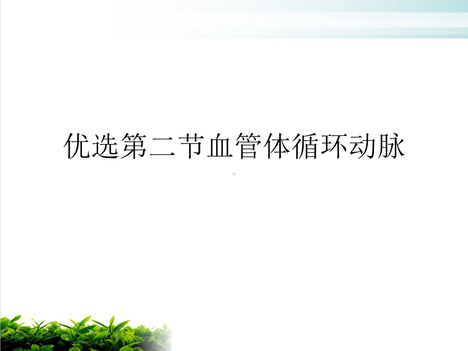 第二节血管体循环动脉课件.ppt_第2页