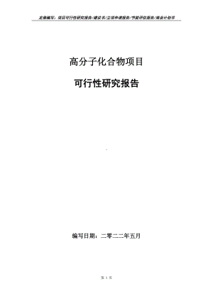 高分子化合物项目可行性报告（写作模板）.doc