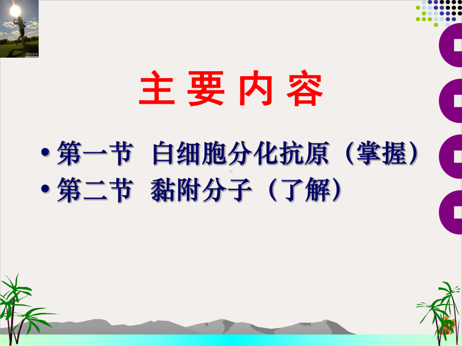 白细胞分化抗原与黏附分子教材课件.pptx_第1页