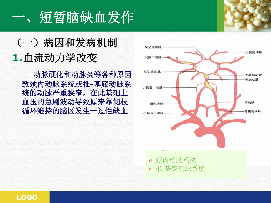 神经系统疾病的药物治疗课件.pptx_第3页