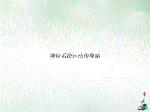 神经系统运动传导路讲课课件.ppt