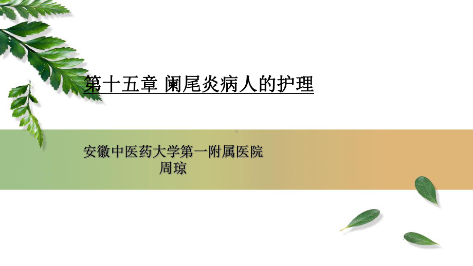 第二十八章阑尾炎课件.ppt_第2页