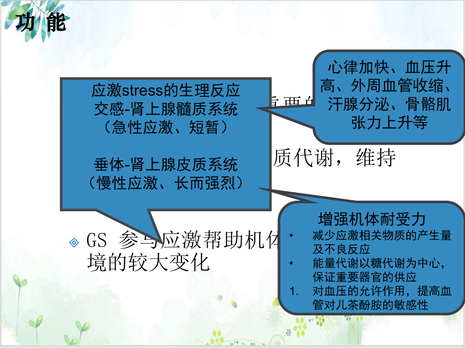 糖皮质激素在皮肤科的应用完整版课件.ppt_第3页