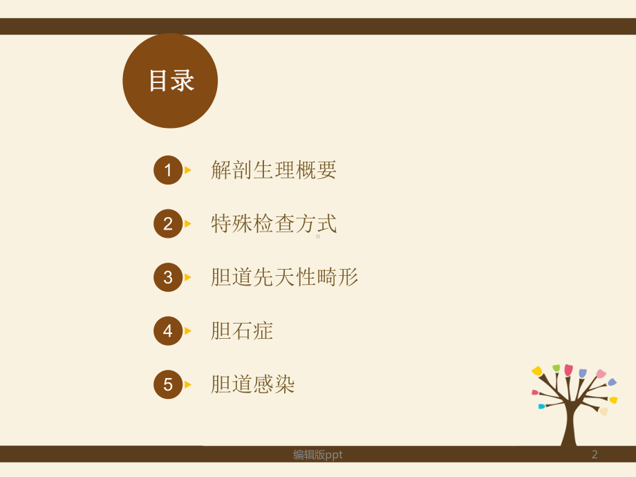 胆道系统疾病-课件.ppt_第2页