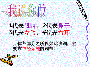 第二节神经系统的组成课件2.ppt