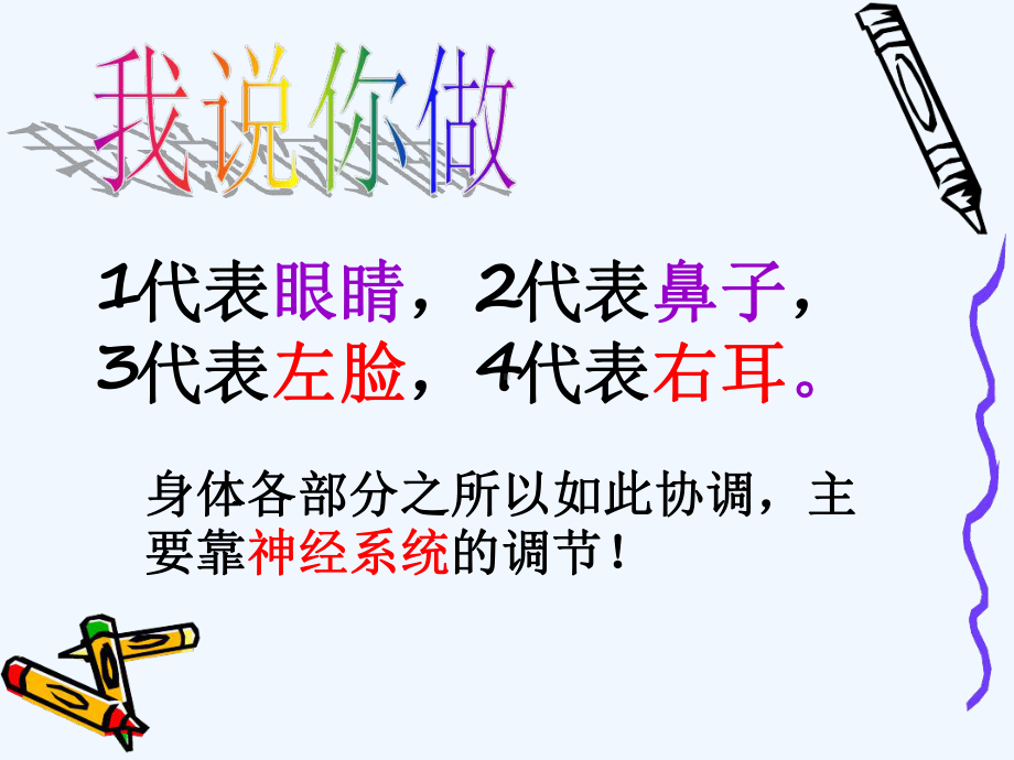 第二节神经系统的组成课件2.ppt_第1页