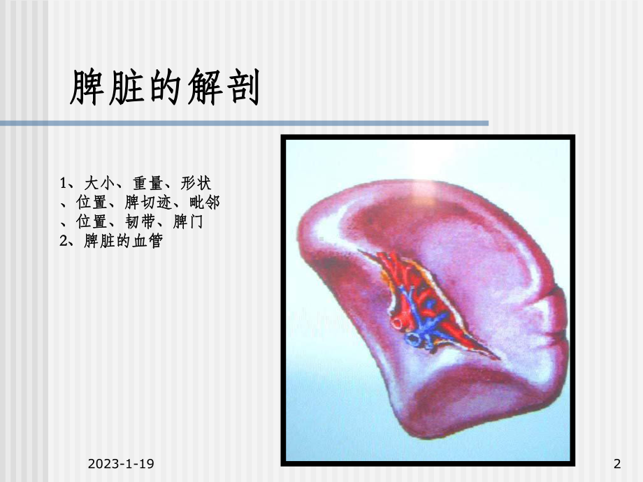 脾脏及脾脏疾病影像学表现课件.ppt_第2页