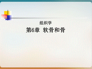 组织学之软骨和骨经典课件整理.ppt