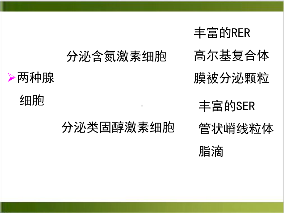 组织学与胚胎学内分泌系统课件示范课件.ppt_第3页