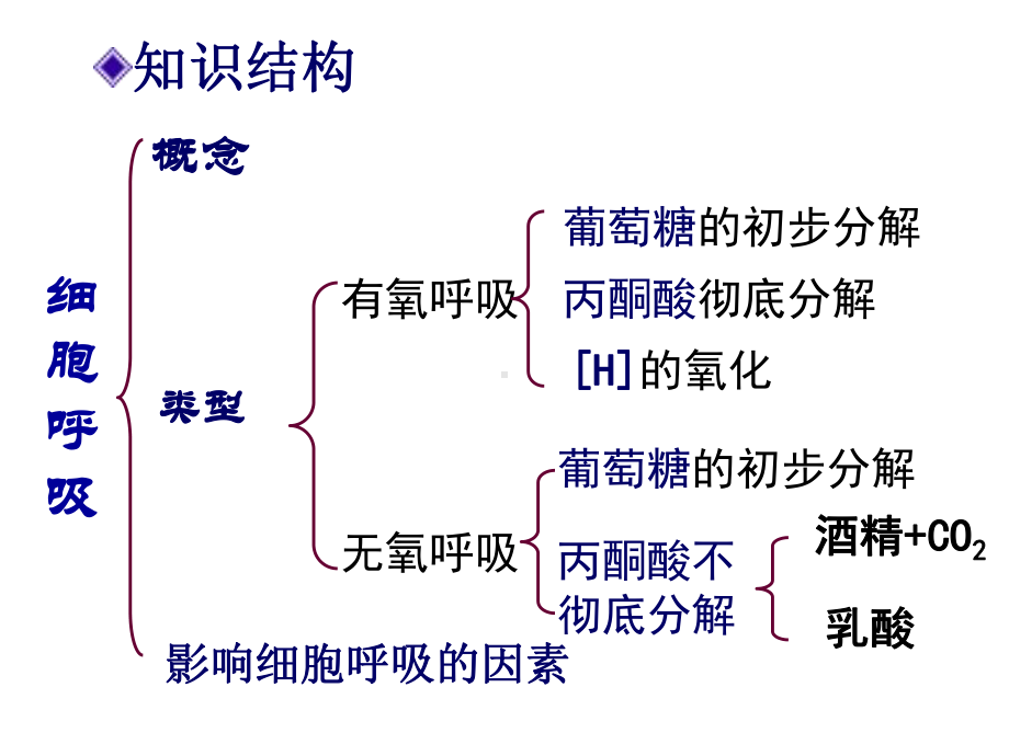 细胞呼吸23-人教课标版课件.ppt_第3页