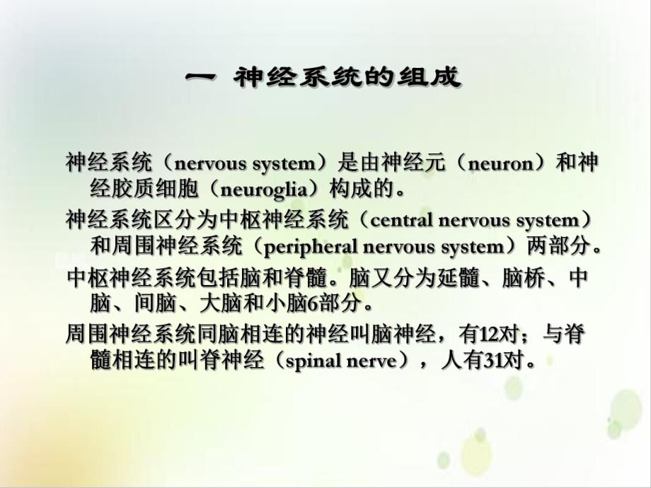 神经系统一般生理功能示范课件.ppt_第3页