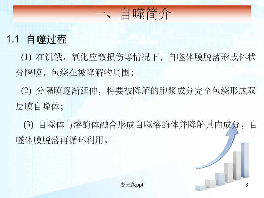 细胞自噬与肿瘤课件.ppt_第3页