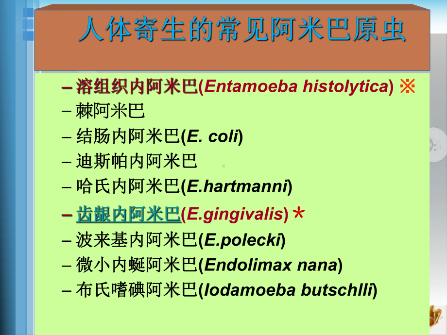 病原生物医学原虫阿米巴课件.pptx_第1页