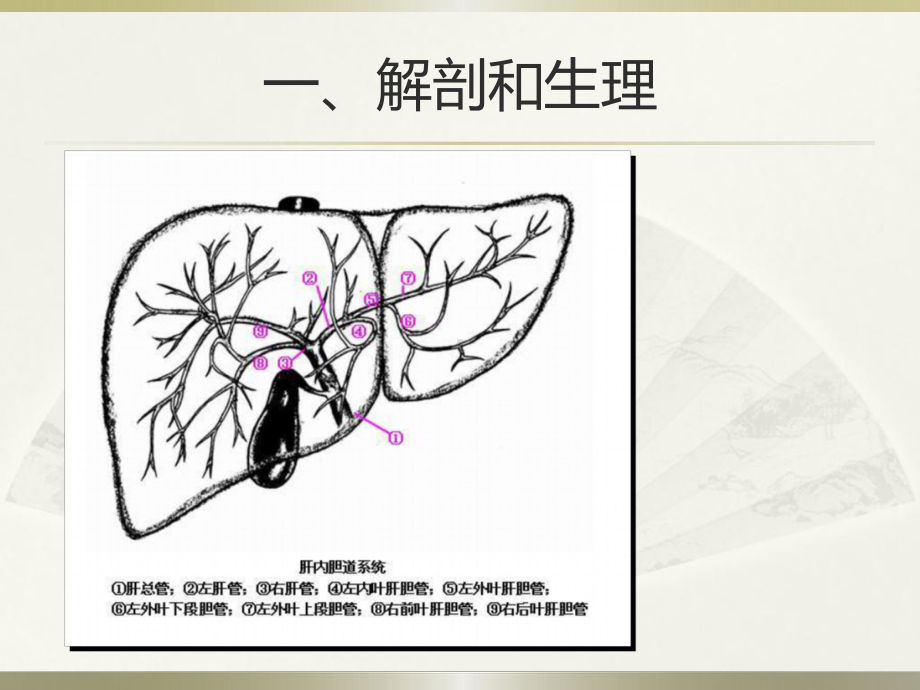 胆道感染与胆石症病人的护理课件.ppt_第2页