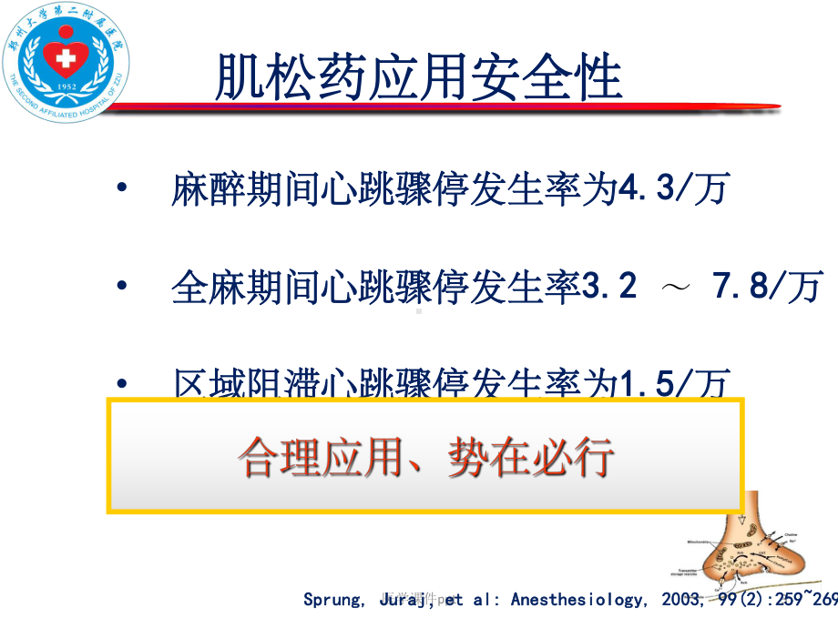 肌松药临床应用的常见问题及处理课件.ppt_第3页