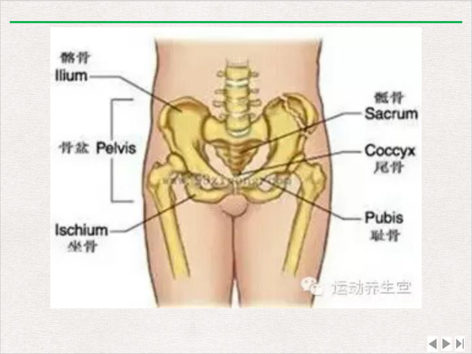 盆腔闭合术精选课件.pptx_第3页