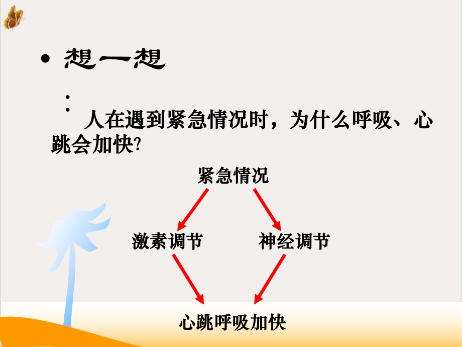 神经系统的调节上课用[1]课件.pptx_第3页