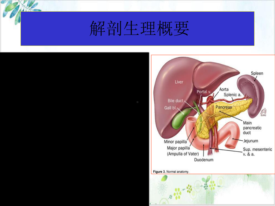 胰腺疾病英文示范课件.ppt_第2页