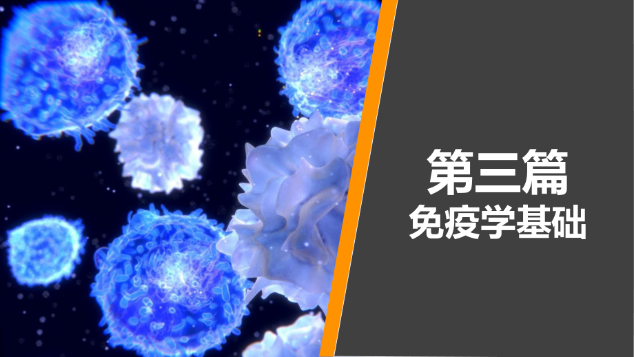 病原生物学与免疫学-第二十七章课件.ppt_第1页