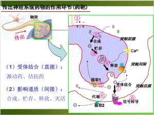 神经系统药理传出课件.pptx