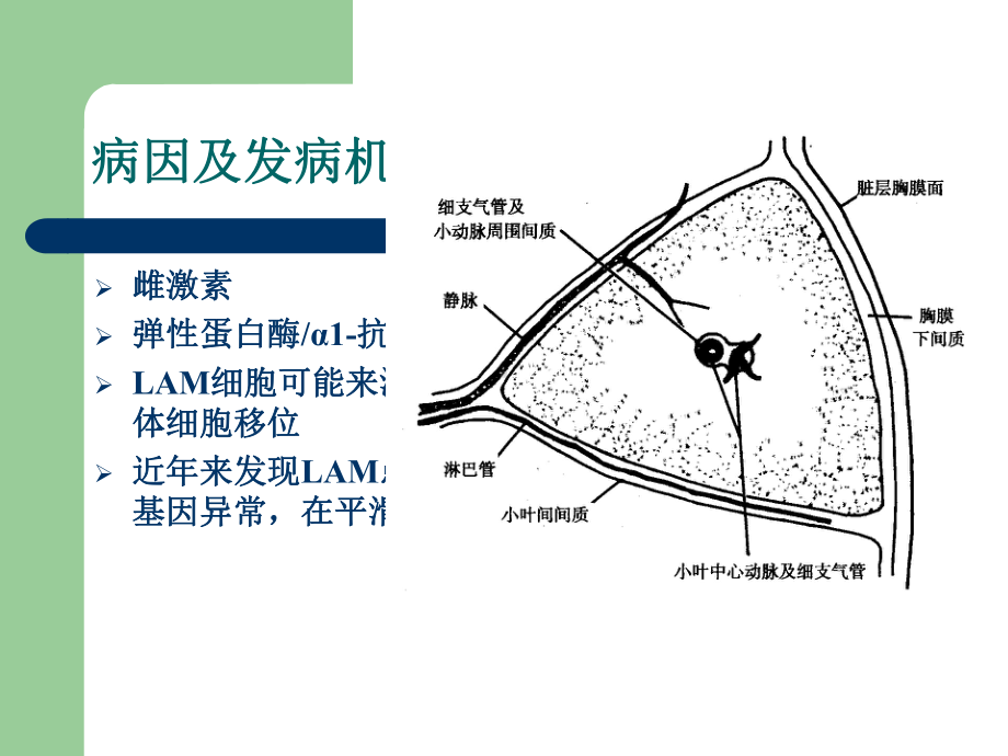 肺淋巴管肌瘤病的CT诊断及鉴别诊断课件.ppt_第3页