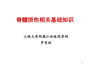 脊髓损伤相关基础知识课件.ppt