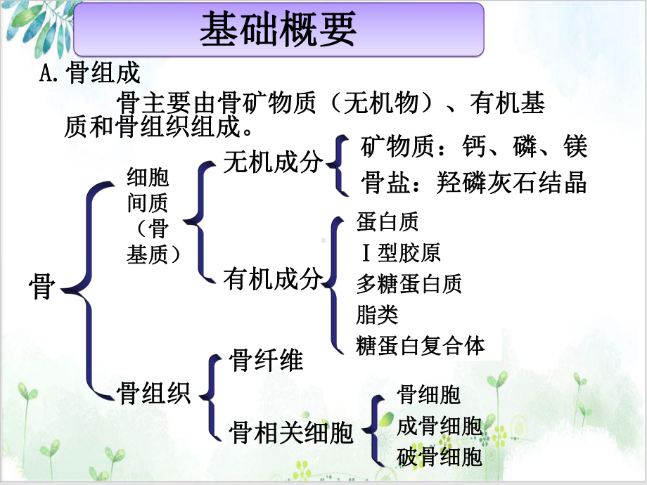 第十二章骨代谢异常的生物化学诊断1课件.ppt_第3页