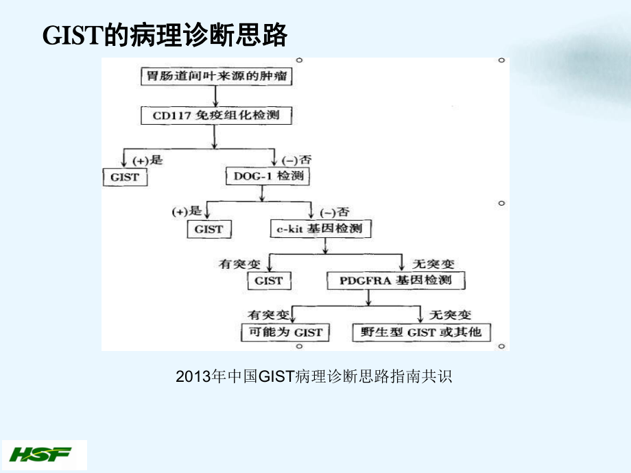 肿内胃肠道间质瘤的综合治疗讲课课件.ppt_第3页