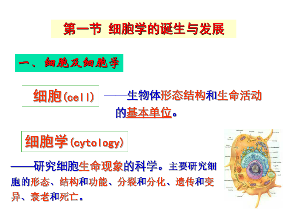 第1章-细胞生物学与医学课件.ppt_第2页