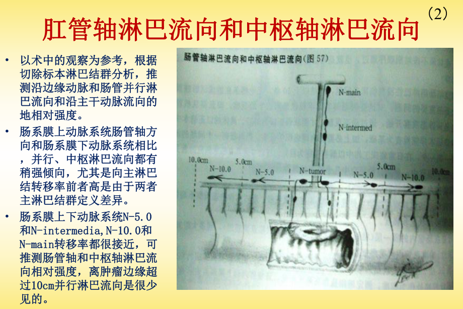 结肠直肠淋巴流向课件整理.pptx_第2页