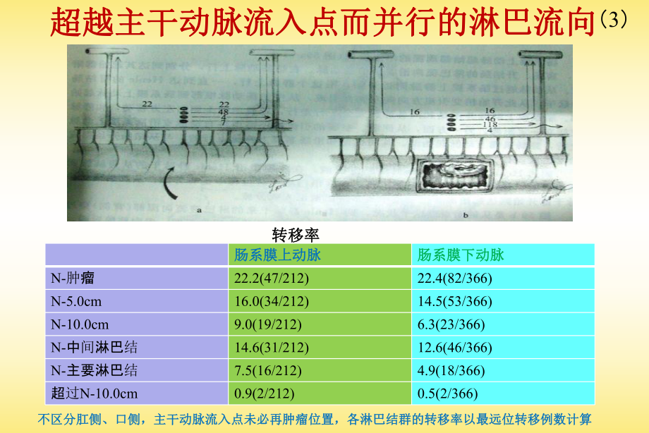 结肠直肠淋巴流向课件整理.pptx_第3页