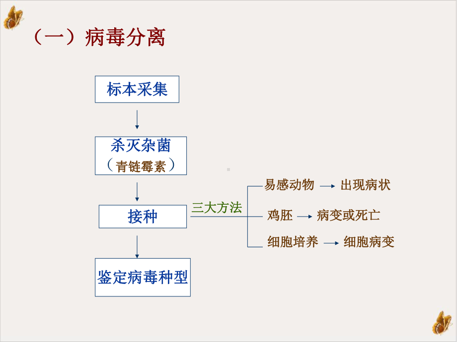 病毒感染的微生物学检查方法实用课件.pptx_第3页