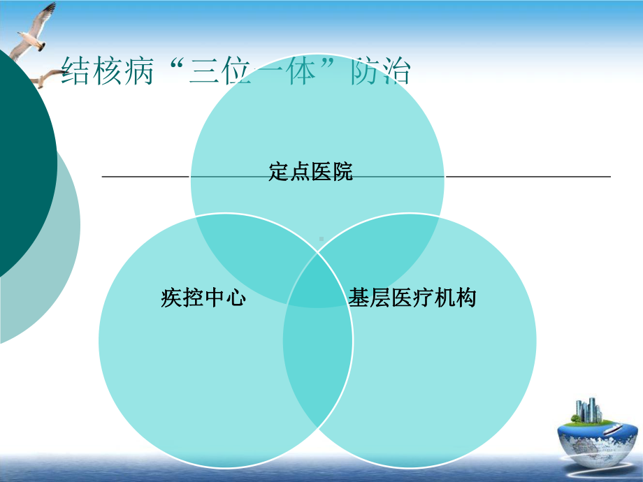 结核病规范管理课件.pptx_第2页