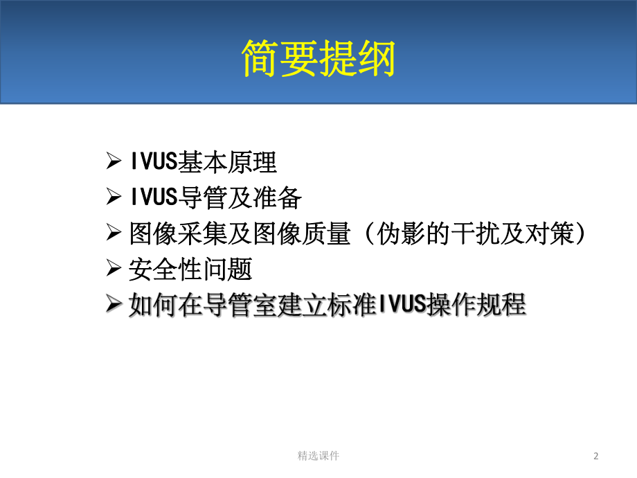 血管内超声IVUS简介课件整理.ppt_第2页