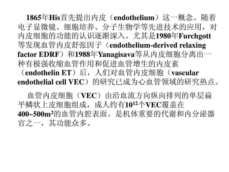 血管内皮细胞与临床课件.ppt_第2页