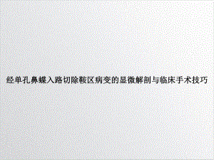 经单孔鼻蝶入路切除鞍区病变的显微解剖与临床手术技巧1课件.ppt